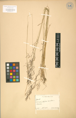 LE 01002115