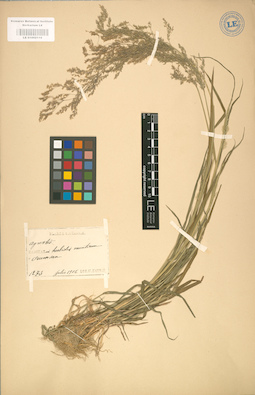 LE 01002116