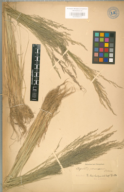 LE 01002117