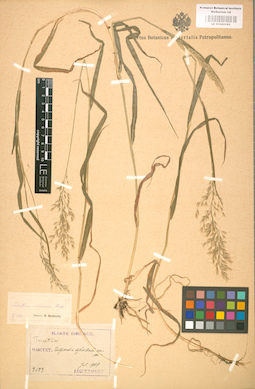LE 01002163