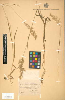 LE 01002164