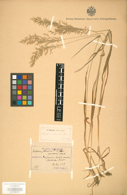 LE 01002165