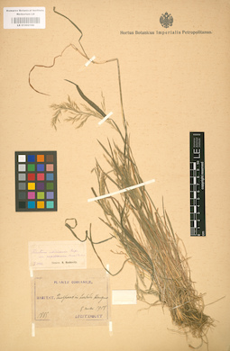 LE 01002166