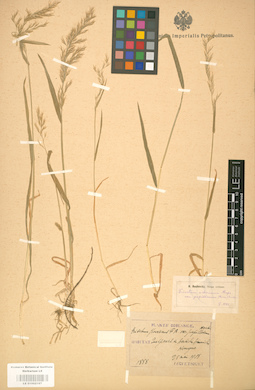 LE 01002167