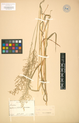 LE 01002168