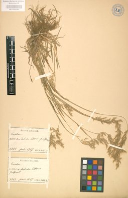 LE 01002169