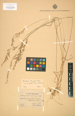 LE 01002171