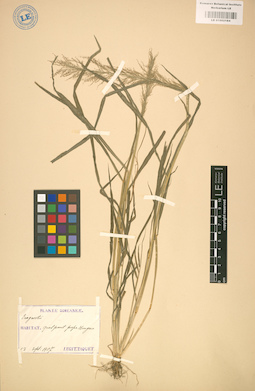 LE 01002184