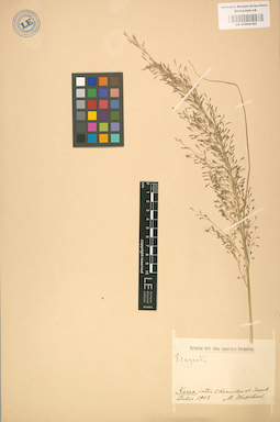 LE 01002185