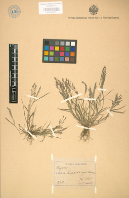 LE 01002187