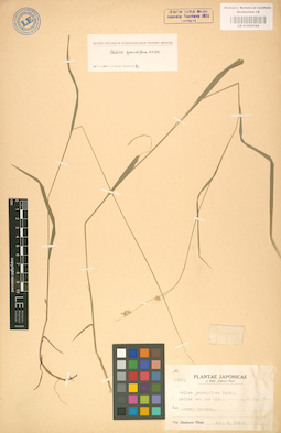 LE 01002194