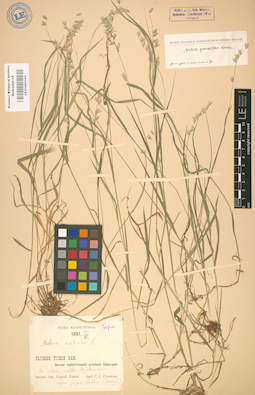 LE 01002195