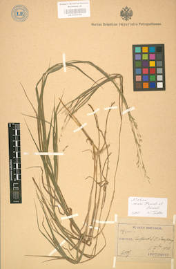 LE 01002196