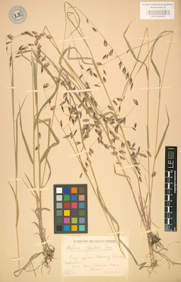 LE 01002197