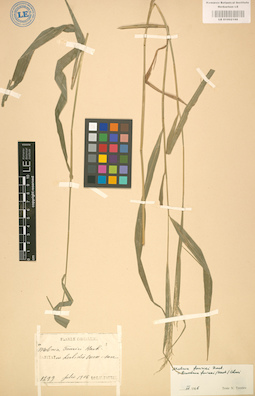 LE 01002198