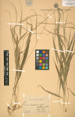 LE 01002199