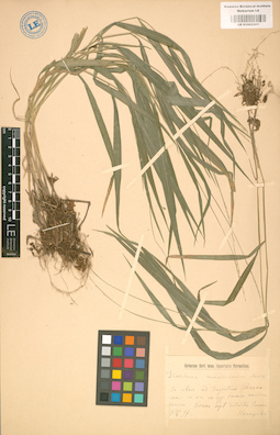 LE 01002201