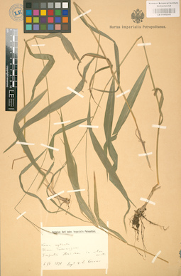 LE 01002202