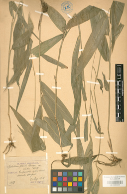 LE 01002204