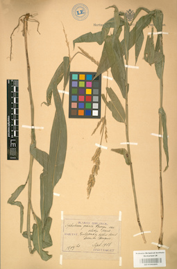 LE 01002205