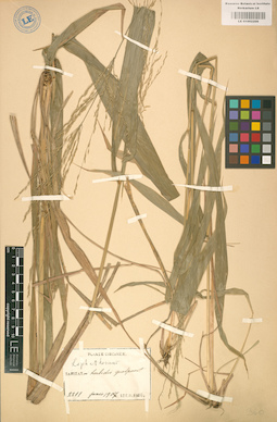 LE 01002206