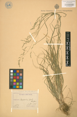 LE 01002210