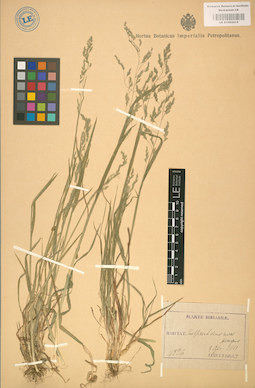 LE 01002215