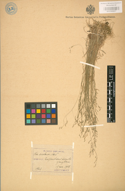 LE 01002217