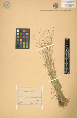 LE 01002220