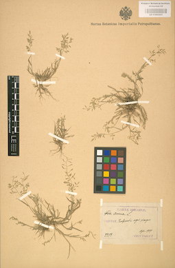 LE 01002223
