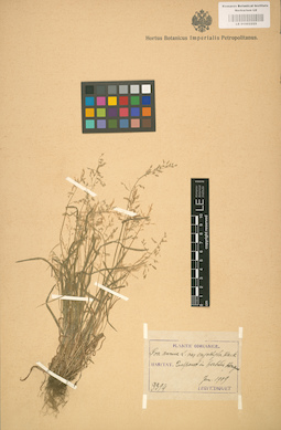LE 01002225