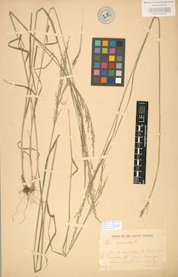 LE 01002227