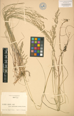LE 01002229