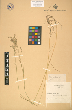 LE 01002233