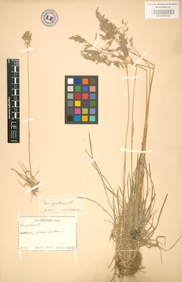 LE 01002234