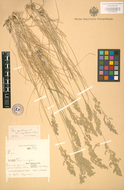LE 01002235