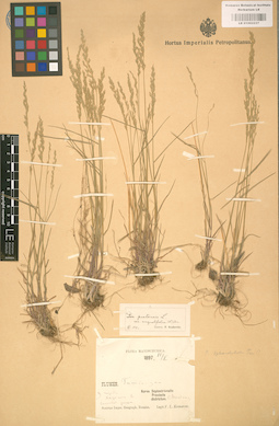 LE 01002237
