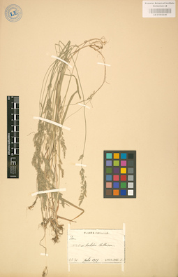 LE 01002240