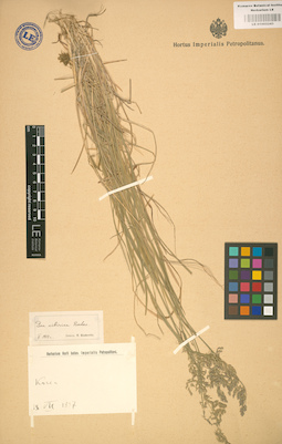 LE 01002243