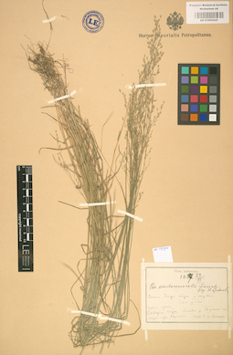 LE 01002245