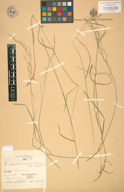 LE 01002246