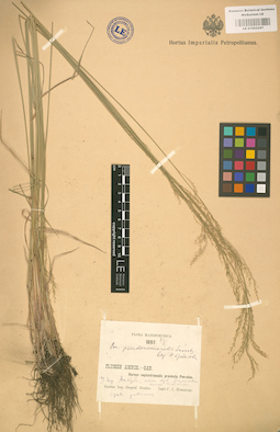 LE 01002247