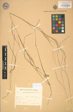 LE 01002249