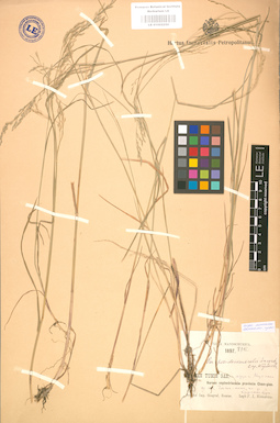 LE 01002250