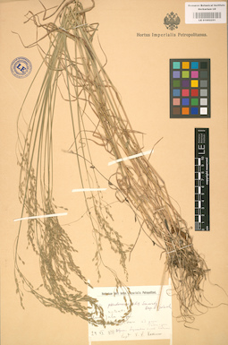 LE 01002251