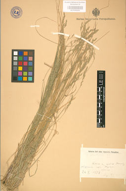 LE 01002252