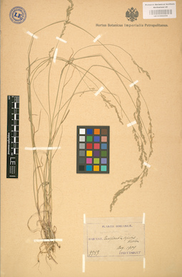 LE 01002254