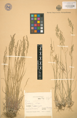 LE 01002255
