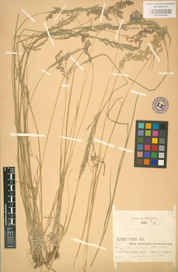 LE 01002256
