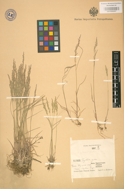 LE 01002257